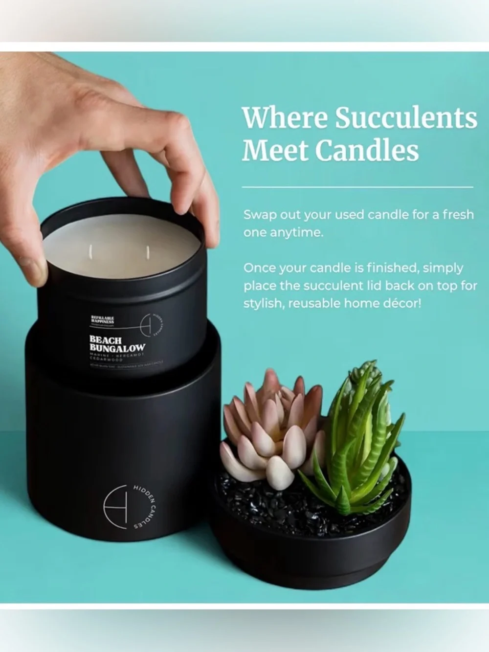 NEW Compact Storage Hidden Candle Beach Bungalow | Scented Candle Faux Succulent